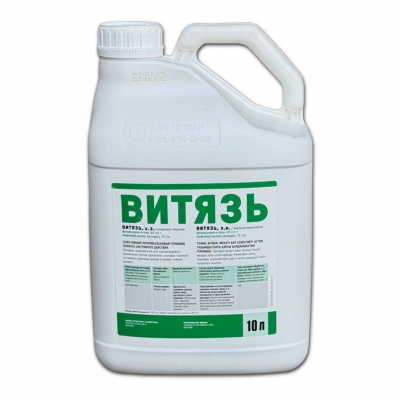 Витязь