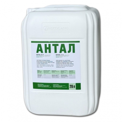 Антал