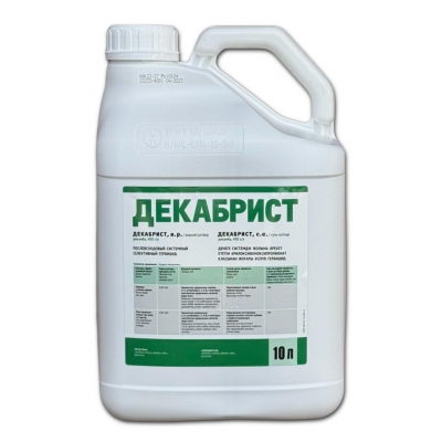 Декабрист